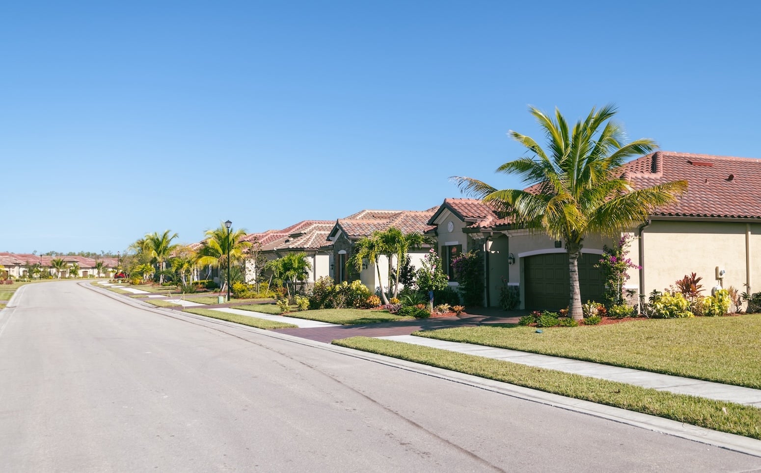 A street view of a suburban neighborhood in Florida with palm trees